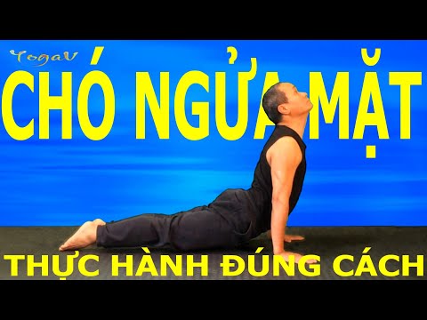Upward Facing Dog | URDHVA MUKHA SVANASANA | Basic Yoga Poses | Yoga VB19