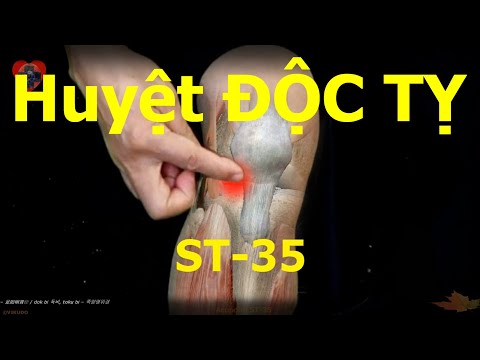 ST35 | Huyệt Độc Tỵ | Huyệt Ngoại Tất Nhãn | Kinh Túc dương minh vị | Acupoint VIKUDO