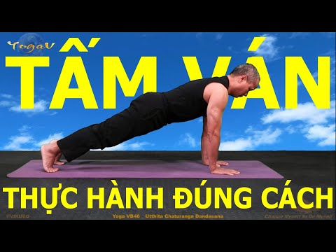 Utthita Chaturanga Dandasana | Plank pose | Basic yoga Poses | Yoga VB48