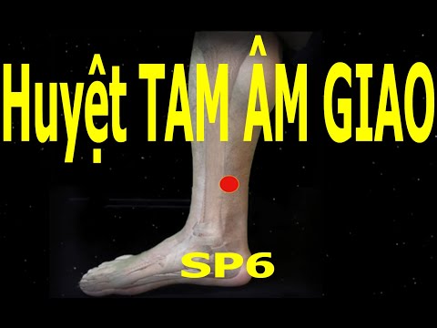 SP6 | Huyệt Tam âm giao | Kinh Túc thái âm tỳ | Acupoint VIKUDO