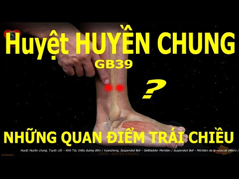 GB39 | Huyệt Huyền chung | Tuyệt cốt | Kinh Túc thiếu dương đởm | Những quan điểm trái chiều | ACUVI