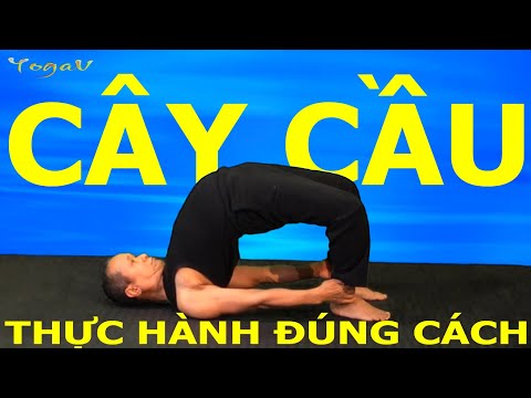 Bridge Pose | SETU BANDHASANA | Basic Yoga | Yoga VB17