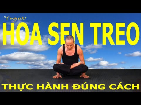 UTTHITA PADMASANA | Raised Lotus Pose | Basic Yoga Poses | Yoga VB35