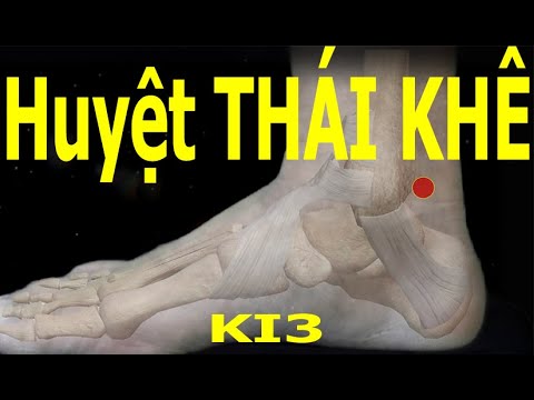 KI3 | Huyệt Thái khê | Kinh Túc thiếu âm thận | Acupoint VIKUDO