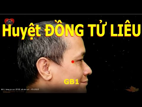 GB1 | Huyệt Đồng tử liêu | Kinh Túc thiếu dương đởm | Acupoint VIKUDO