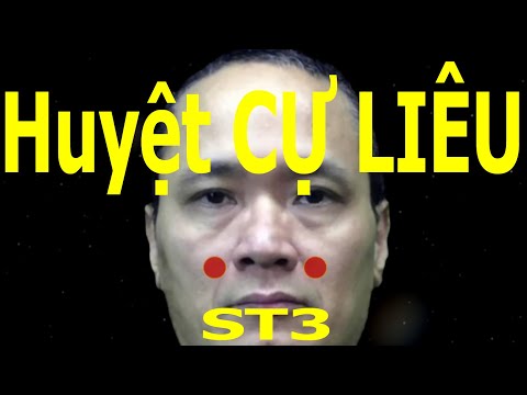 ST3 | Huyệt Cự liêu | Kinh Túc dương minh vị | Acupoint VIKUDO