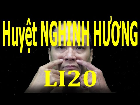 LI20 | Huyệt Nghênh hương | Huyệt Nghinh hương | Kinh Thủ dương minh đại trường | Acupoint VIKUDO