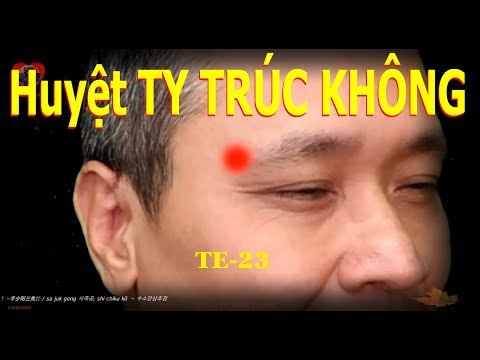TE23 | Huyệt Ty trúc không | Kinh Thủ thiếu dương tam tiêu | Acupoint VIKUDO