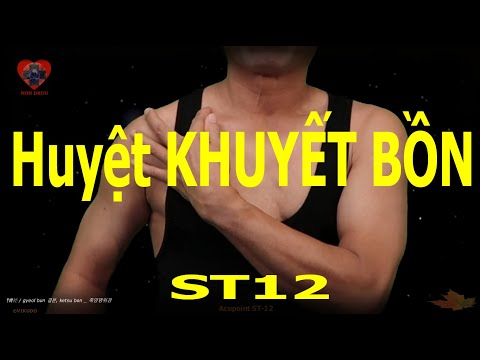 ST12 | Huyệt Khuyết bồn | Kinh Túc dương minh vị | Acupoint VIKUDO