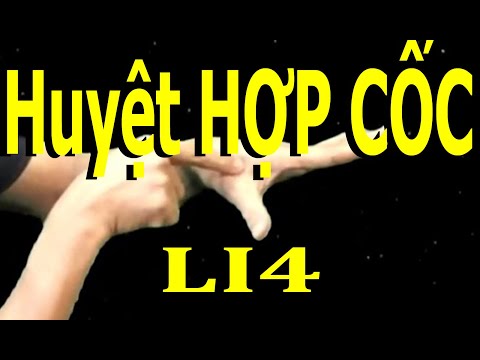 LI4 | Huyệt Hợp cốc | Huyệt Hiệp cốc | Kinh Thủ dương minh đại trường| Acupoint VIKUDO