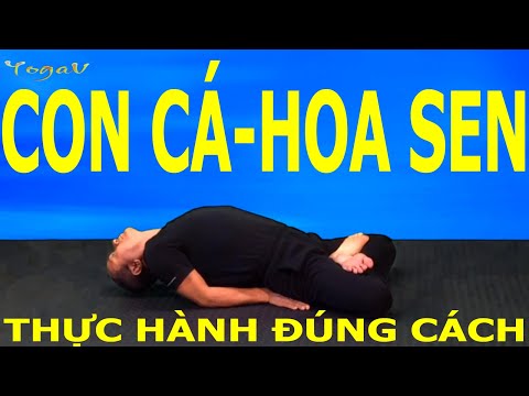 Fish-Lotus Pose | MATSYA-PADMÂSANA | Basic Yoga Poses | Yoga VB11