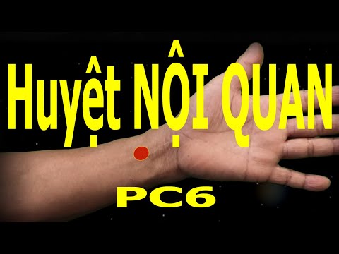 PC6 | Huyệt Nội quan | Kinh Thủ quyết âm tâm bào | Acupoint VIKUDO