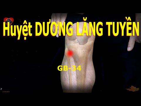 GB34 | Huyệt Dương lăng tuyền | Kinh Túc thiếu dương đởm | Acupoint VIKUDO