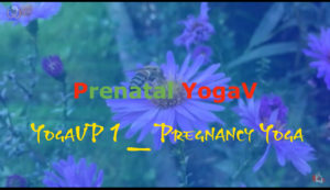 Yoga tăng khả năng sinh sản, YOGA augmente la fertilité, Yoga increases Fertility