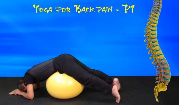 Yoga for back pain, Yoga chữa đau lưng P1, Yoga pour soulager le mal de dos, Yoga VT4, VIKUDO