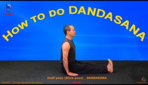 yoga vikudo, yogav, staff pose