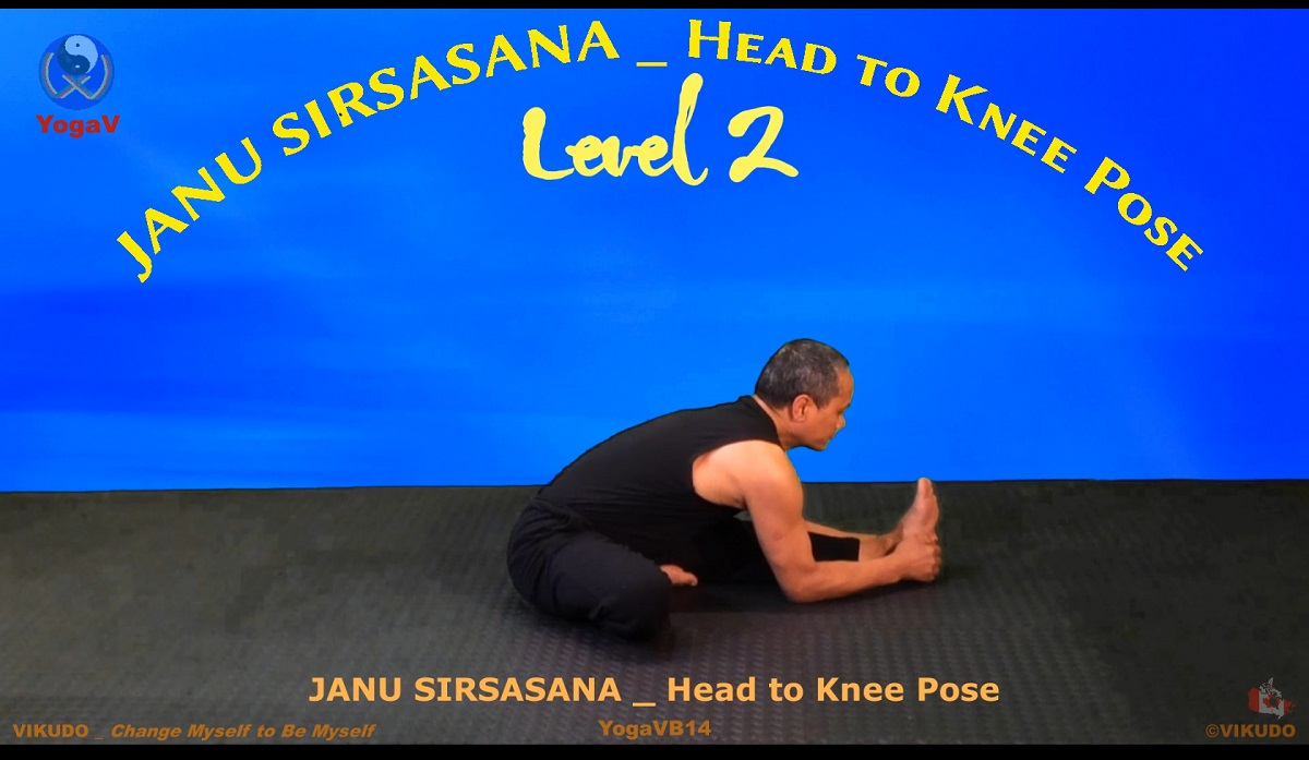 yoga vikudo, yogav,, Head to Knee Pose