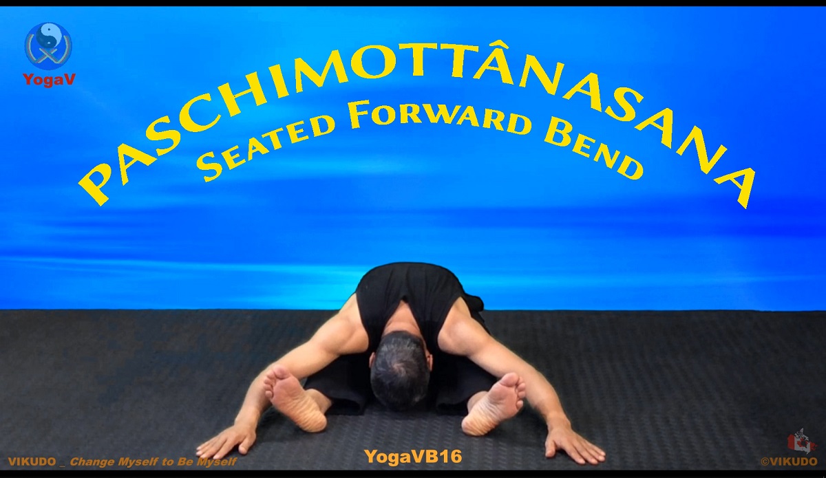 yoga vikudo, vikudo, yogav, Seated Forward Bend