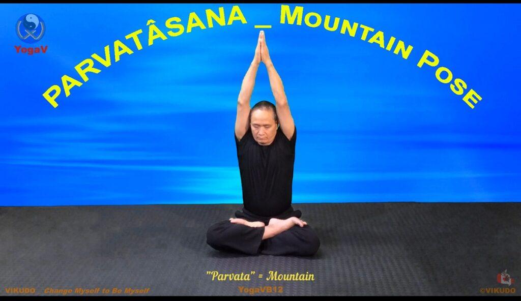 La posture de la montagne _ Posture de Yoga _ Yoga VB12
