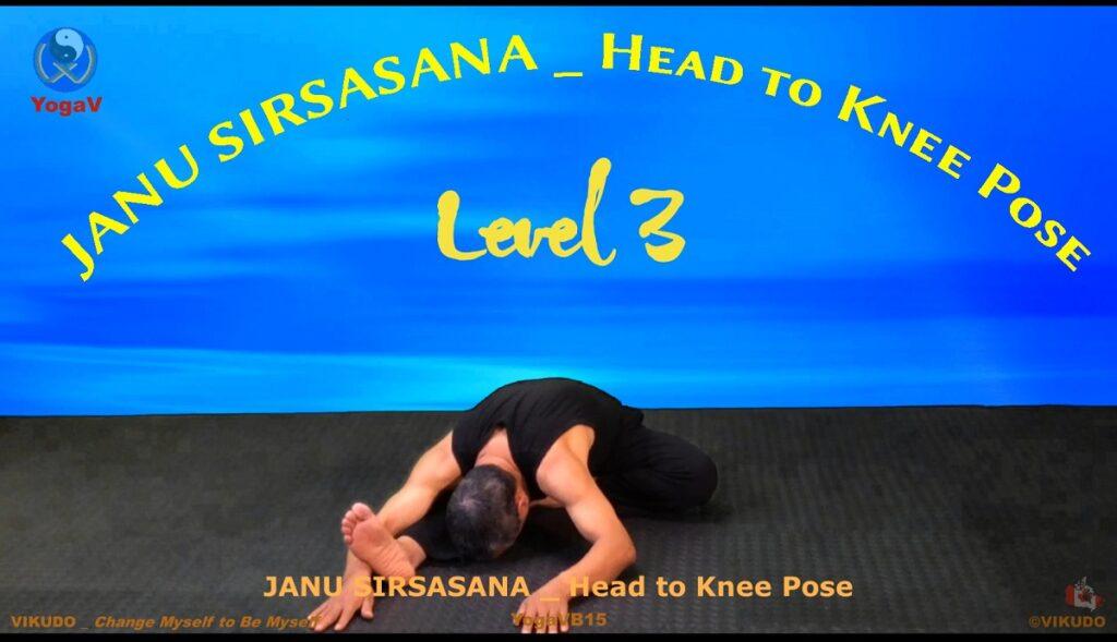 yoga vikudo, yogav,, Head to Knee Pose