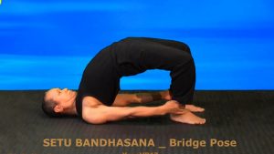 tư thế cây cầu, la posture du pont, bridge pose, yoga vb17, SETU BANDHASANA