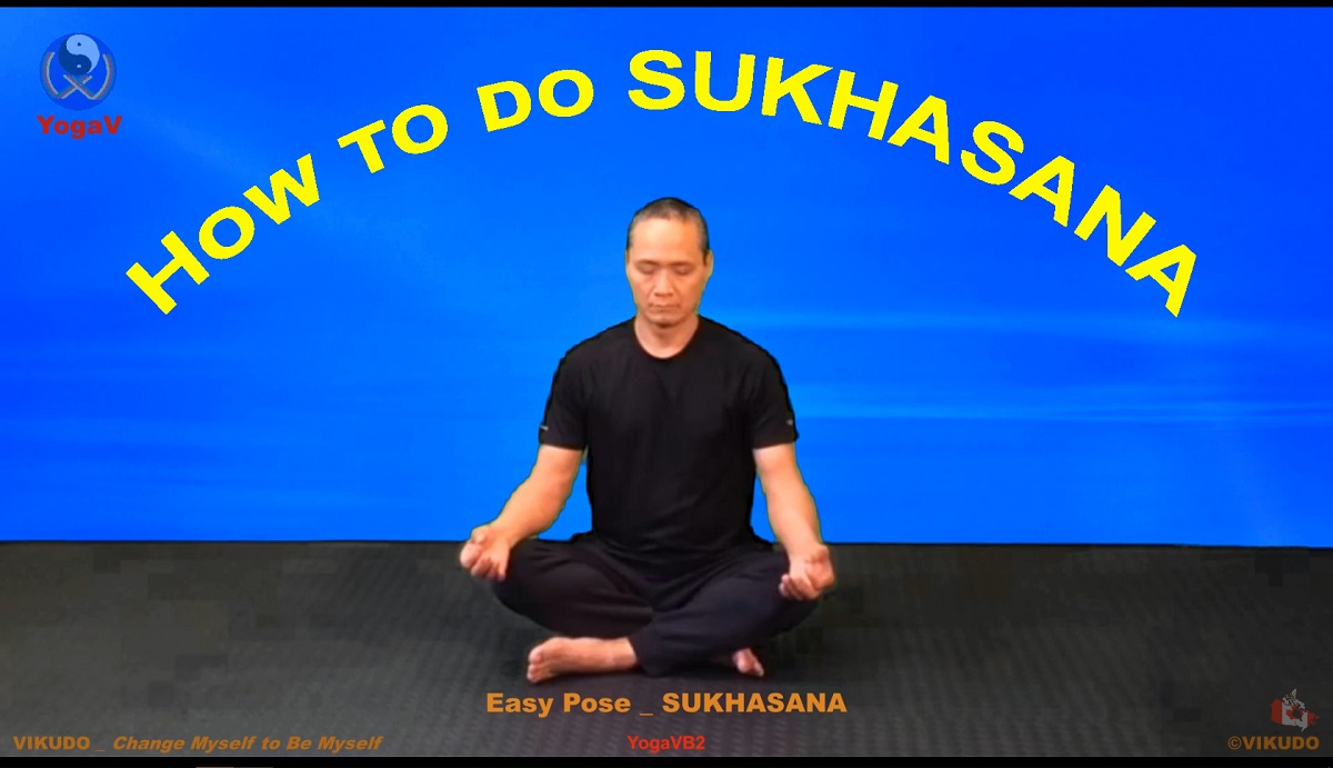 yoga vikudo, yogav, easy pose