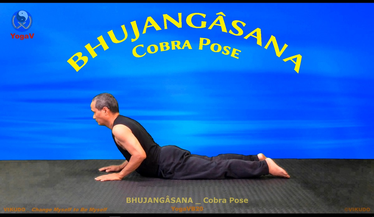 Yoga vikudo, yogav, vikudo, cobra pose