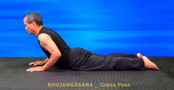 tư thế rắn hổ mang, posture du cobra, cobra pose, yoga vb20, BHUJANGÂSANA