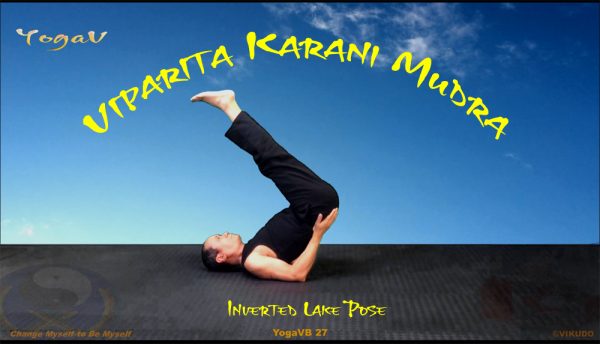 Inversée sur les épaules, đảo ngược trên vai, Viparita-Karani-Mudra _ Yoga VIKUDO