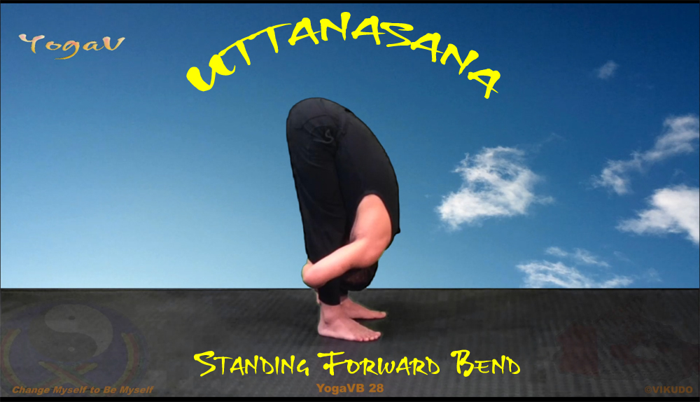 YogaVB-28-_-Standing-Forward-Bend-_-Uttanasana _ VIKUDO
