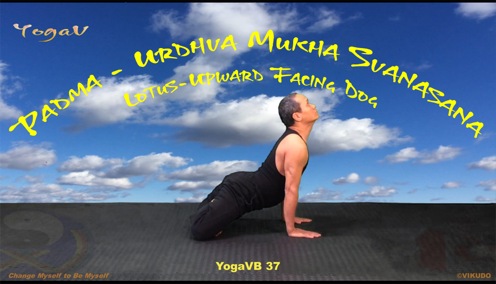 YogaVB 37 _ Padma - Urdhva Mukha Svanasana _ Lotus-Upward Facing Dog