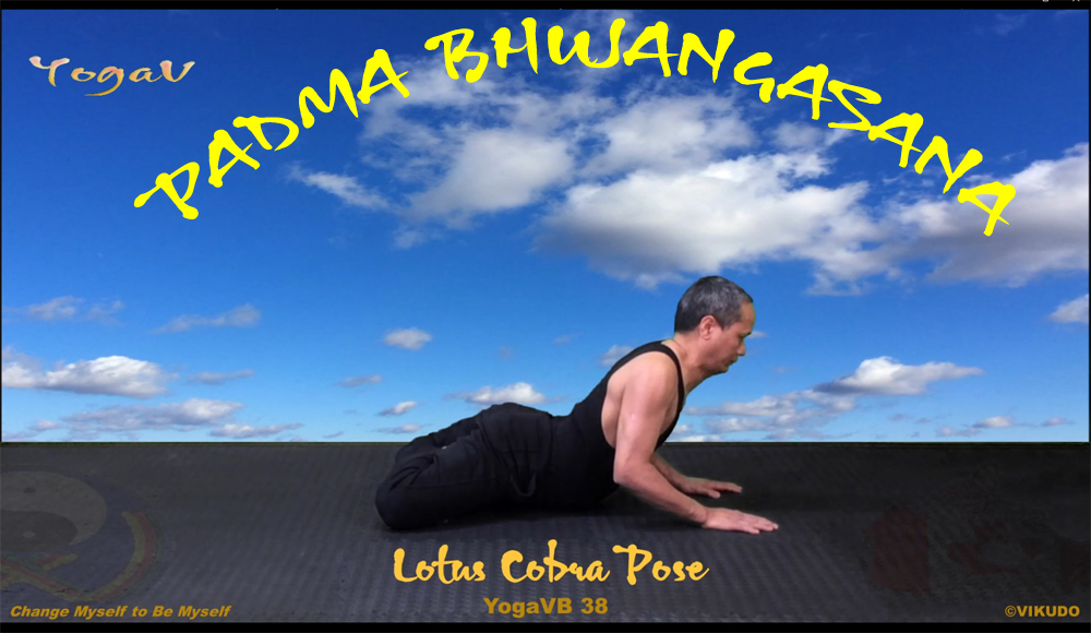 PADMA-BHUJANGASANA _ VIKUDO