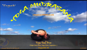 Yoga-Mudrasana _ Vikudo