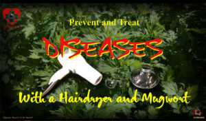 Acuheat V2 _ Prevent and treat diseases with a hairdryer and mugwort