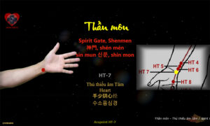 Acupoint HT7 _ Spirit Gate, Shenmen - Heart _ HT-7