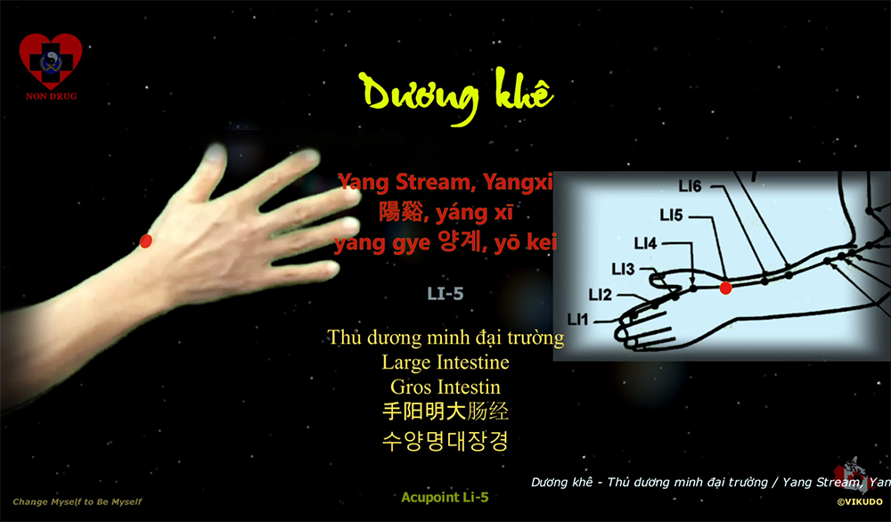 Acupoint LI5 _ Yang Stream, Yangxi - Large Intestine _ LI-5
