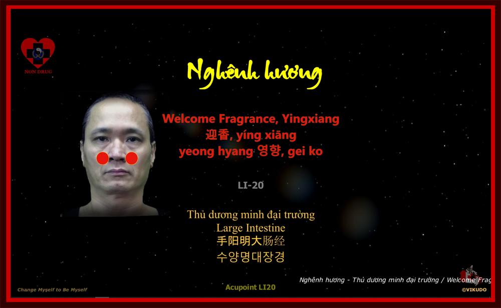 Acupoint LI20 _ Welcome Fragrance, Yingxiang - Large Intestine _ LI-20