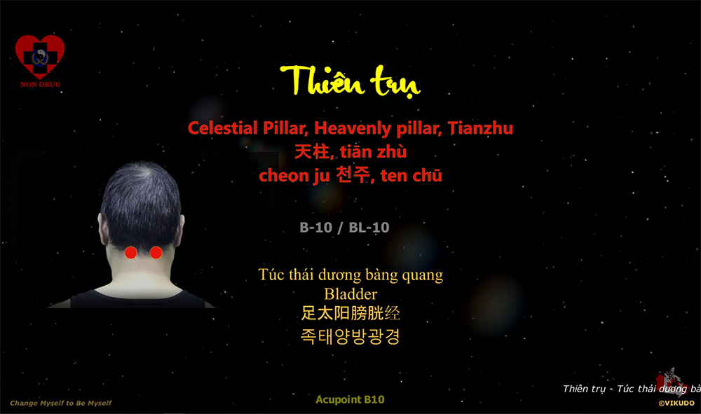 Acupoint BL10 _ Celestial Pillar, Heavenly pillar, Tianzhu - Bladder _ B-10, BL-10