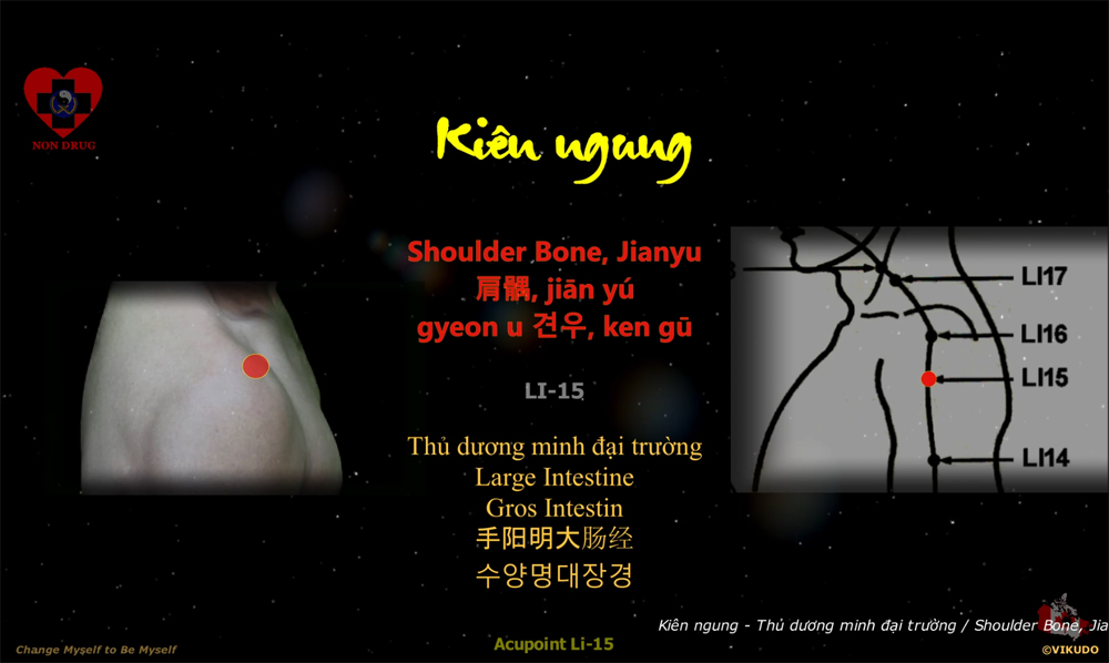Acupoint LI15 _ Shoulder Bone, Jianyu - Large Intestine _ LI-15
