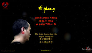 Ế phong, Wind Screen, Yifeng, TE17
