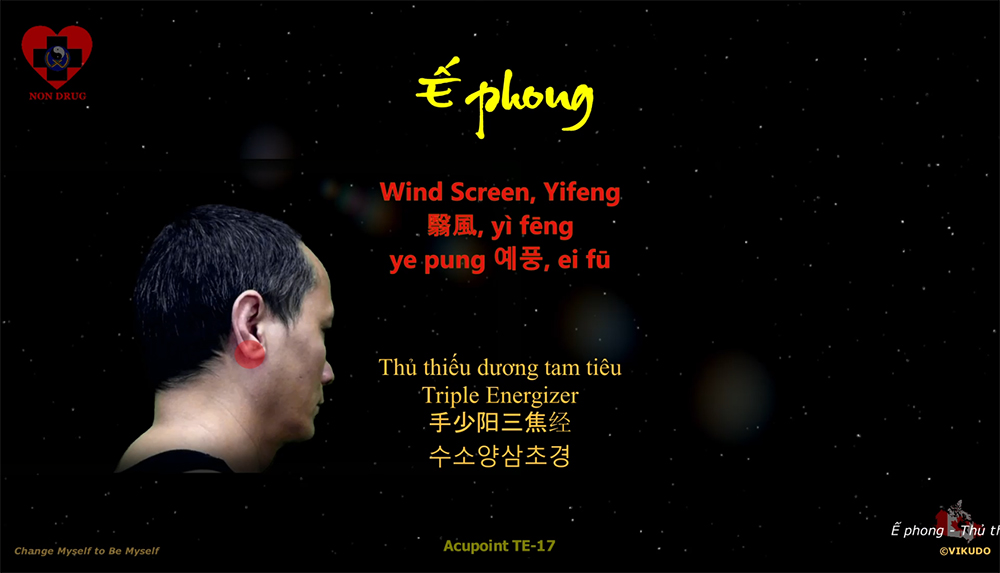 Acupoint TE17 _ Wind Screen, Yifeng - Triple Energizer _ TE-17
