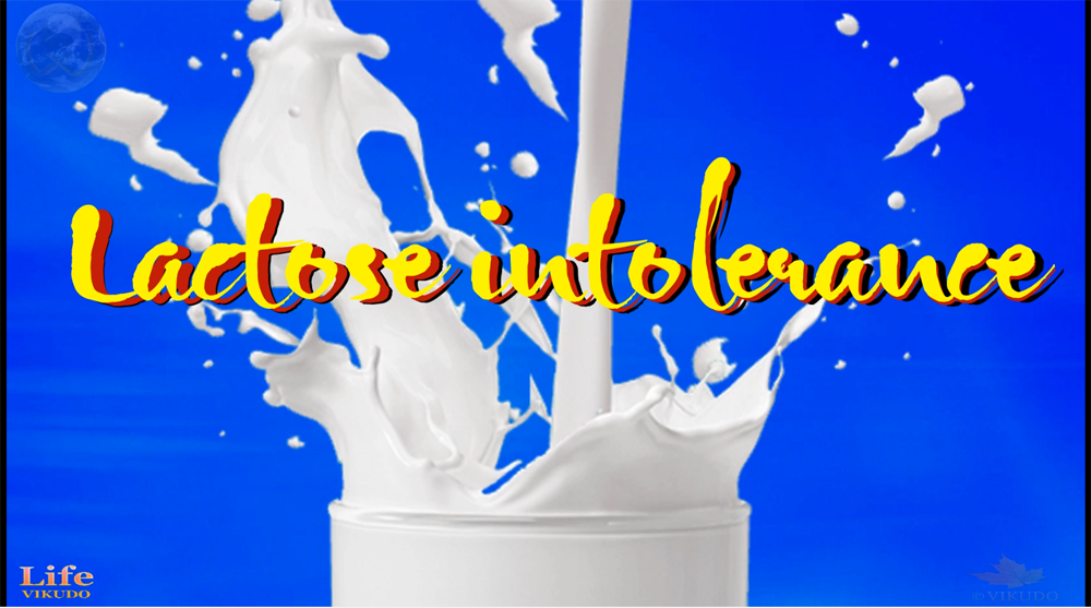 life vikudo, vikudo, life 55, life55, intolérance au lactose, lactose intolerance, không dung nạp lactose,