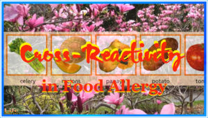 Life-62-_-Cross-reactivity-in-food-allergy _ VIKUDO