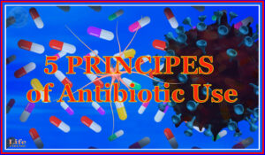 Life 64 _ 5 Principles of antibiotic use, Vikudo