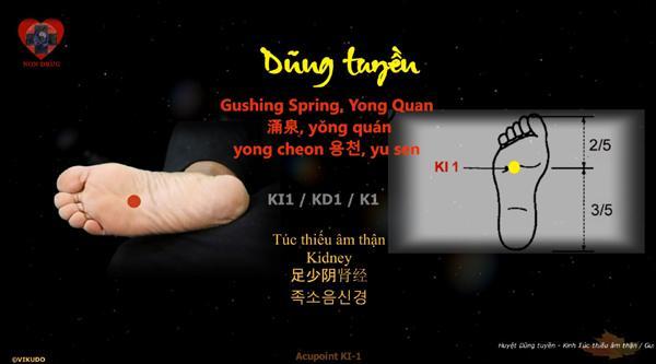 Huyệt Dũng tuyền _ VIKUDO _ ACUVI