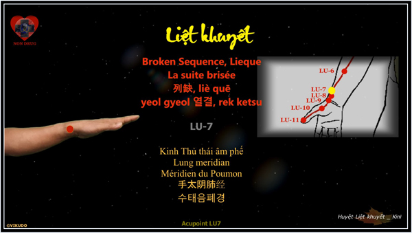 Acupoint LU7 _ Huyệt Liệt khuyết _ Kinh Thủ thái âm phế _ LU-7 La suite brisée – Méridien du Poumon _ P7 Broken Sequence, Lieque – Lung meridian _ LU-7