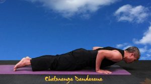 Chaturanga Dandasana | Four Limbed Staff Pose | Yoga VB48