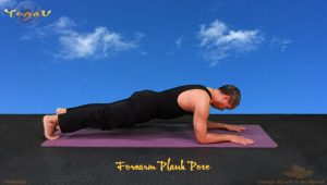 Plank thấp | Plank cẳng tay | Tư thế biến thể tấm ván cá heo | Tư thế yoga cơ bản | Yoga VB47