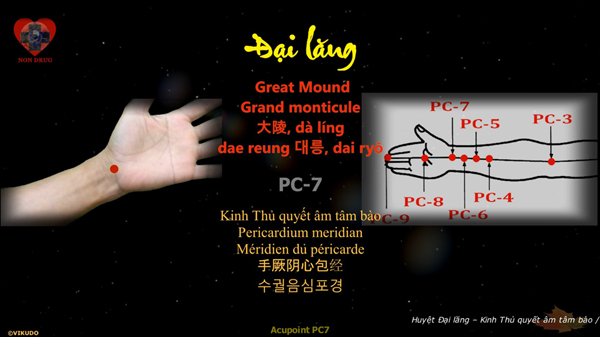 Huyệt Đại lăng, Grand monticule, Great Mound, Acupoint PC7