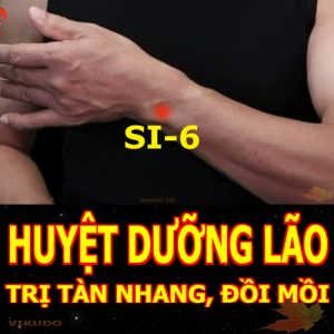 Huyệt Dưỡng lão, Yanglao, Support the Aged, Soutenir les vieux,